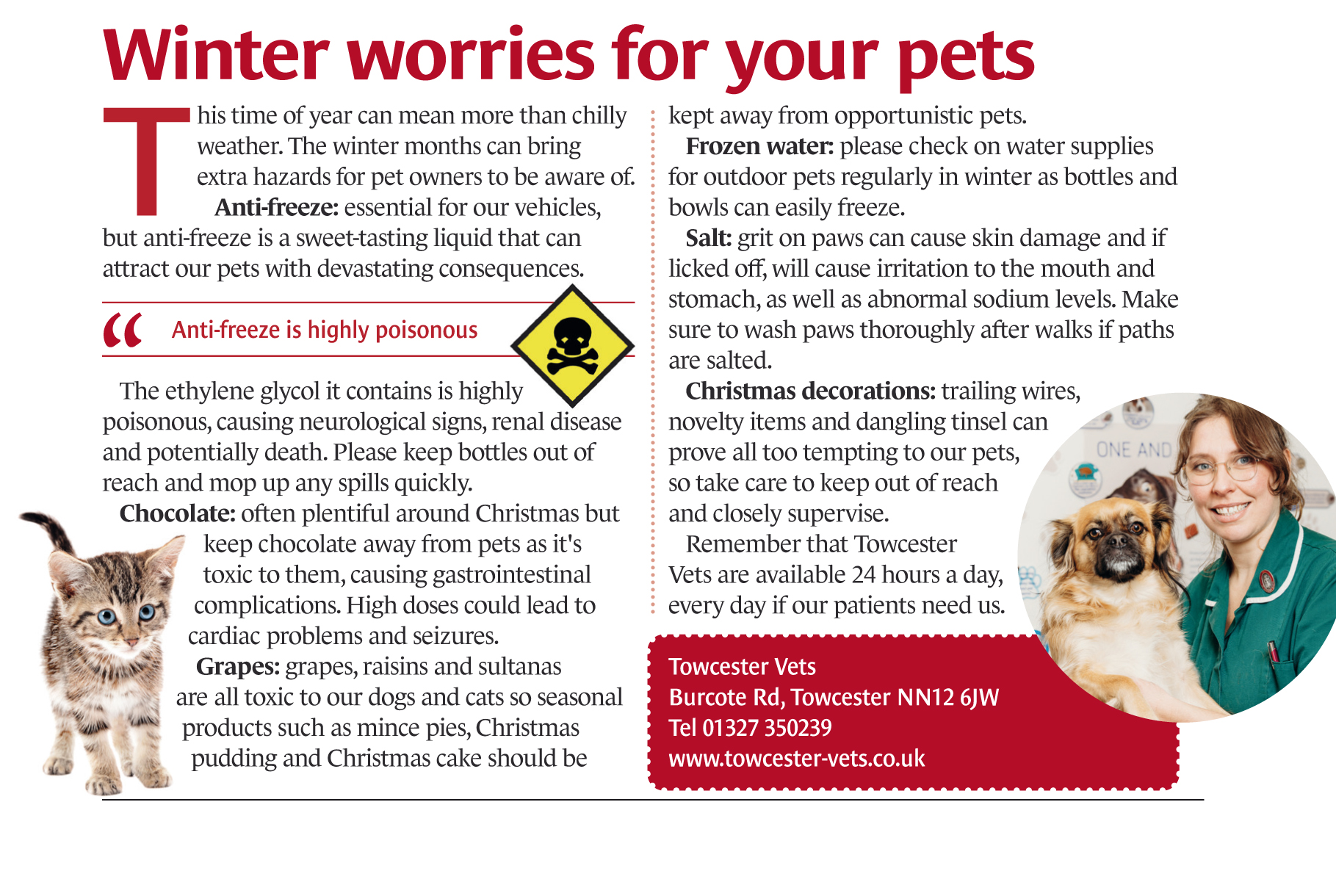 Towcester Vets Dec25Jan26